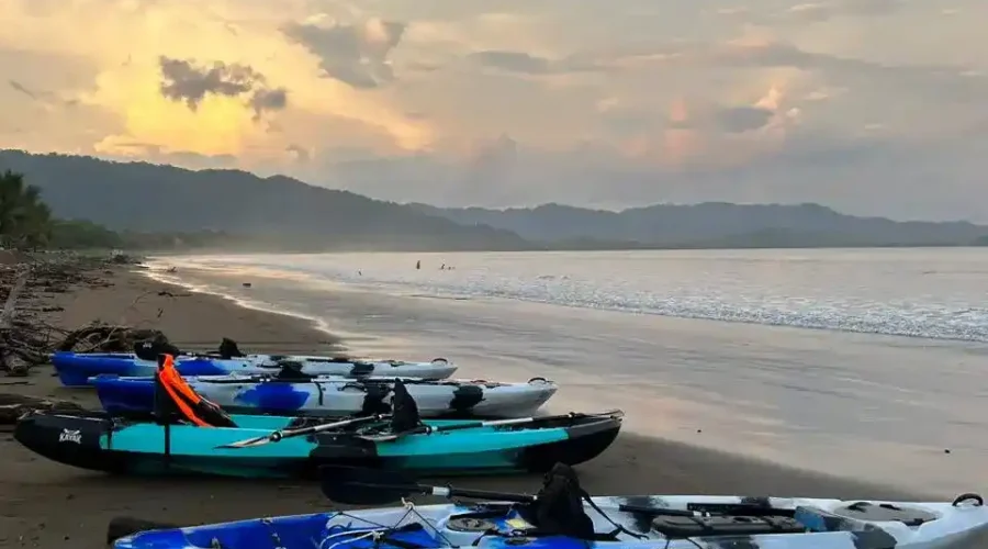 Bioluminescence tour in kayak