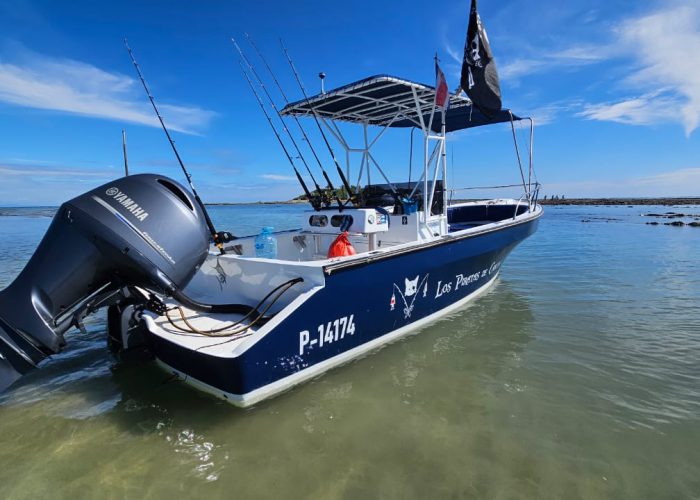 Private Tipsy gull Boat sailing in cabuya