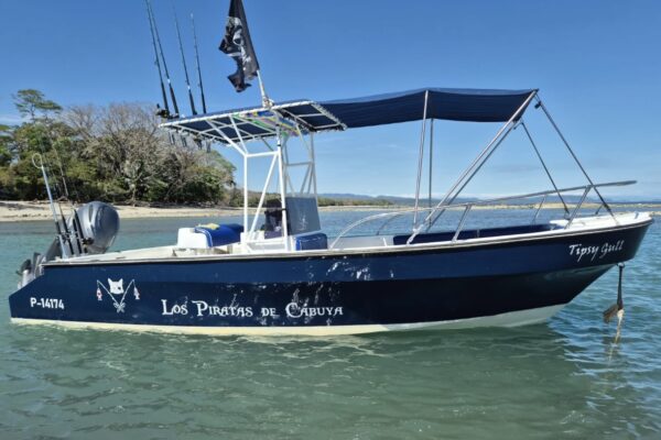 Tortuga island tour Private on a Tipsy Gull boat