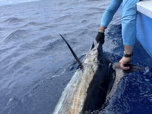 Sport fishing Santa Teresa Costa Rica