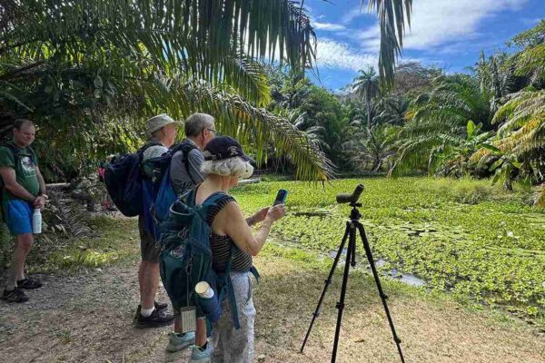 Curú Wildlife Refuge, Costa rica birding tours