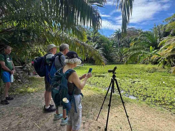Curú Wildlife Refuge, Costa rica birding tours
