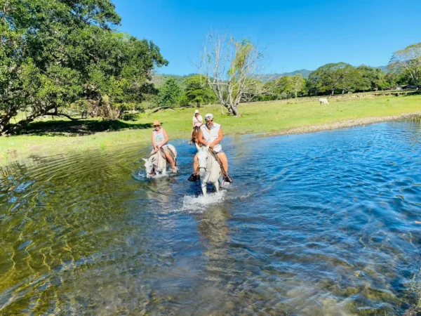 Horseback Riding Tours in Playa Tambor, Magical Riding Experiences