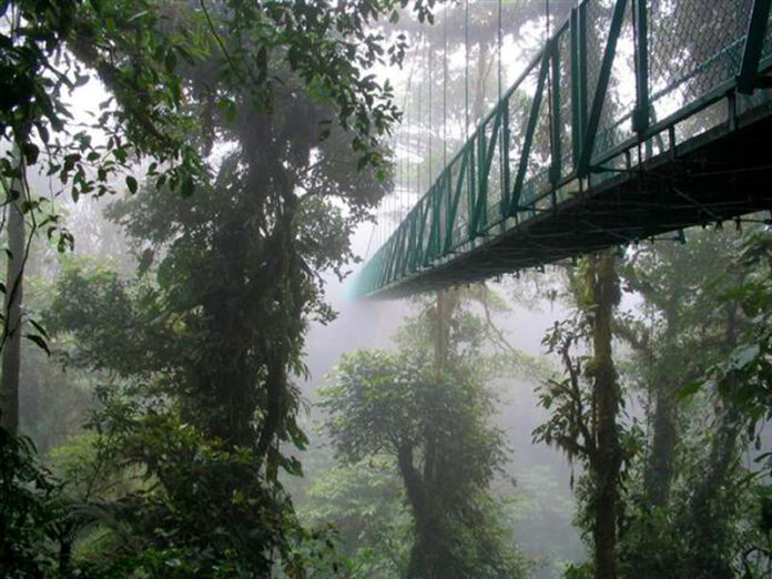 Private shuttle Santa teresa to Monteverde